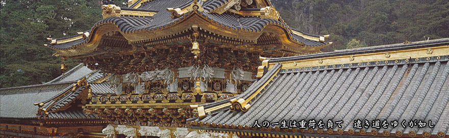 日光杉並木と保護活動~オーナー制度~